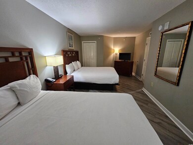 Bedroom with dark wood-style floors, a closet, bas