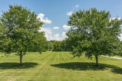 This lot is amazing!