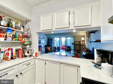 5901 Mount Eagle Dr unit 317, Alexandria, VA 22303 - photo 6