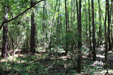 Coates Road (Off), Bonifay, FL 32425 - photo 7