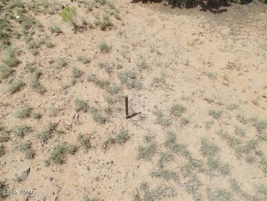 SAM_0475 (Small)