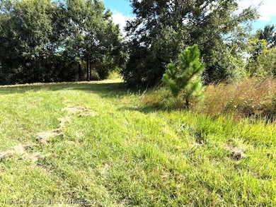 3313 W Jurgenson Rd, Avon Park, FL 33825 - photo 4