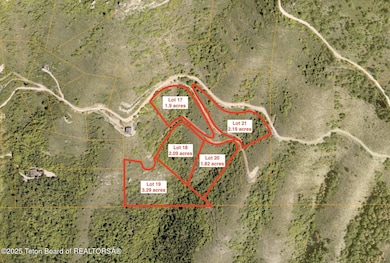 LOTS 17-21 Shady Ln, Irwin, ID 83428 - photo 2