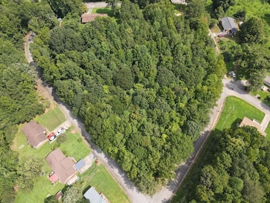 0 Talley (Lot 1) Dr, Union, SC 29379 - photo 6