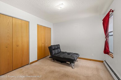 1527 Blake Ave unit 207, Glenwood Springs, CO 81601 - photo 7