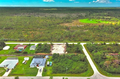 4137 Chippewa St, Port Charlotte, FL 33981 - photo 5