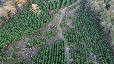 6580 Hwy 431 S, Pittsview, AL 36871 - photo 4