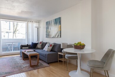 29 Concord Ave unit 303, Cambridge, MA 02138 - photo 6