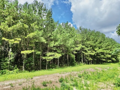 7 Us Hwy 231 S, Brundidge, AL 36010 - photo 5