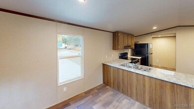 6460 W Akazian Ln, Homosassa, FL 34446 - photo 5