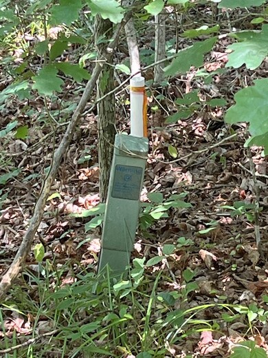 Marker at front of property on 315 Fox Run side.