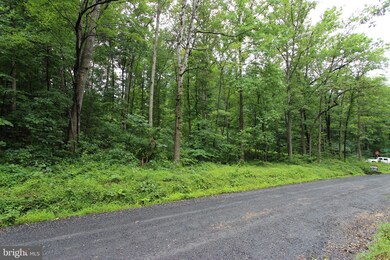 lot 8 Eagles Crag Rd, Shenandoah, VA 22630 - photo 3