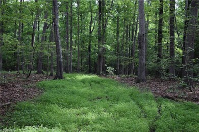 0 N Nc Highway 109 unit 932612, Troy, NC 27371 - photo 2