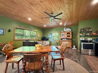 n 9650 Number 24 Ln, Cedar River, MI 49887 - photo 5