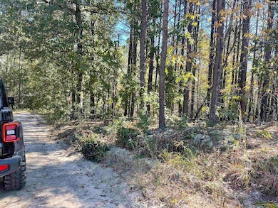 1809 Louise Ct, Lugoff, SC 29078 - photo 6