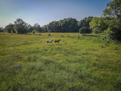 dji_fly_20240523_182546_74_1716503191136