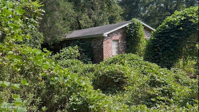 30 Hibiscus Ln, Natchez, MS 39120 - photo 3