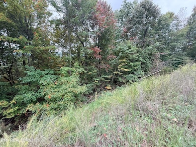Lot 192 Clinch View Rd, New Tazewell, TN 37825 - photo 3