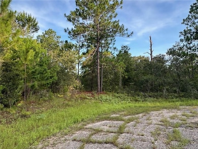 6932 N Steward Point, Citrus Springs, FL 34434 - photo 6