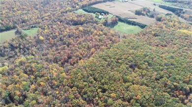 Lot 16 10 3 8 Ave, Chetek Township, WI 54728 - photo 4