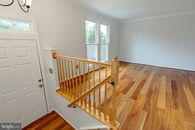 46756 Graham Cove Square, Sterling, VA 20165 - photo 5