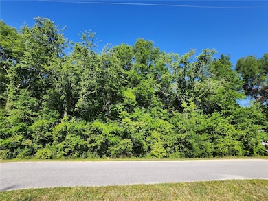 TBD SW Yazoo Ct, Rainbow Lakes Estates, FL 34431 - photo 2