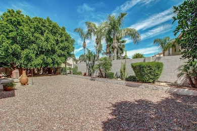 large backyard