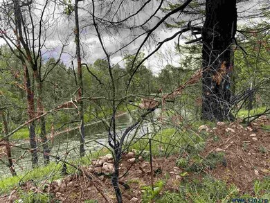 22255 Jennie Rd, Lyons, OR 97358 - photo 3