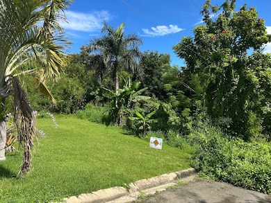 #10 Reparto Bonet unit 10, Aguada, PR 00602 - photo 4