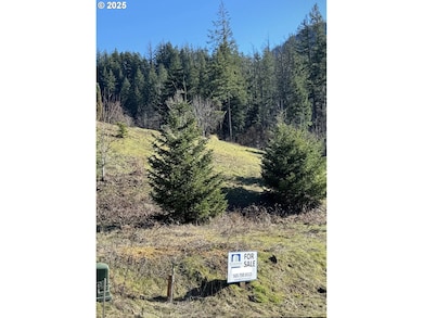 245 SW Sternwheeler Dr unit 24, Cascadelocks, OR 97014 - photo 6