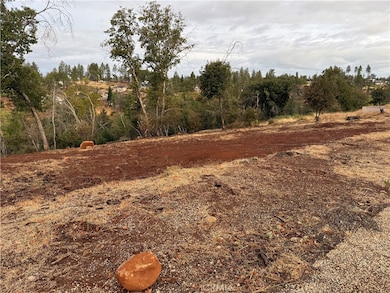 2150 2150 De Mille Rd, Paradise, CA 95969 - photo 5