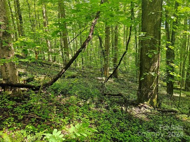 00 Orenda Dr unit 21/SEC C, Franklin, NC 28734 - photo 6