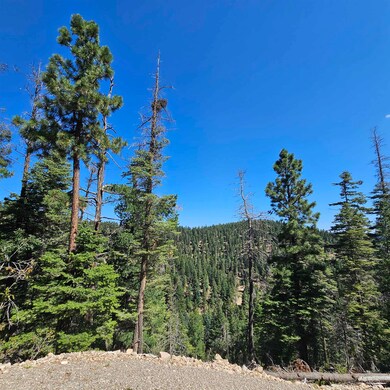 Lot 28 Clear Nite Rd, Cloudcroft, NM 88317 - photo 7