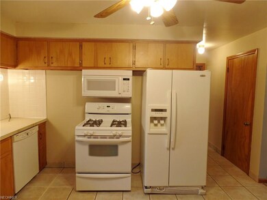 568 Poland Ave, Struthers, OH 44471 - photo 6