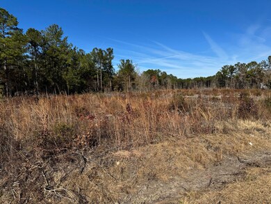 940 Fauling Rd, Saint Stephen, SC 29479 - photo 6