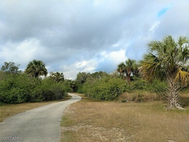 18890 Fox Run Rd, Alva, FL 33920 - photo 2