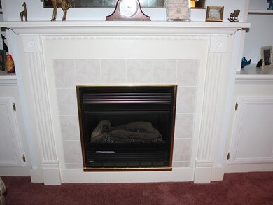 Other. Fabulous gas fireplace surrounded by archit