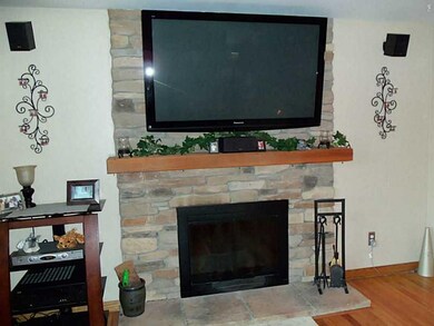 Other. Stone fireplace