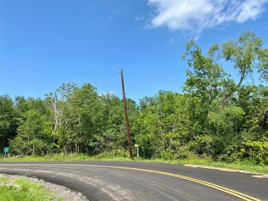 0 Ramble Wood Dr unit 82524722, Brazoria, TX 77422 - photo 7