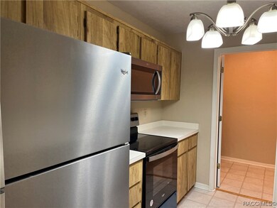 810 E Gilchrist Ct unit 5A, Hernando, FL 34442 - photo 6