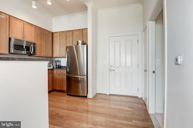 4490 Market Commons Dr unit PH-07, Fairfax, VA 22033 - photo 6