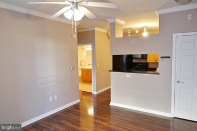 12900 Centre Park Cir unit 105, Herndon, VA 20171 - photo 5