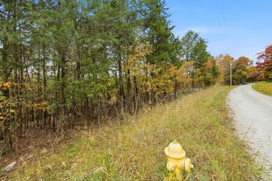 20_335_wallace_dr_sony_001