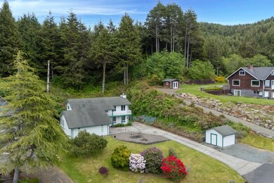 Drone View