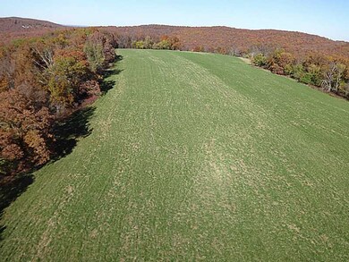 14607 Truelove Rd, West Fork, AR 72774 - photo 6