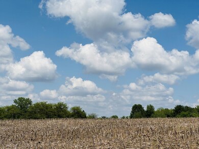 Open field