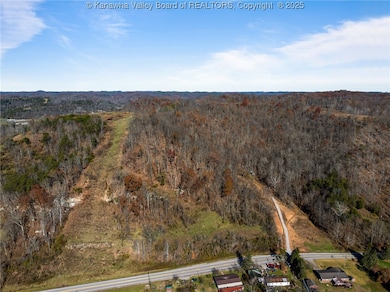 4674 Parkersburg Rd, Reedy, WV 25270 - photo 2