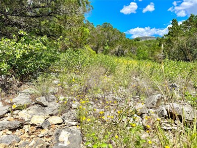 View of local wilderness