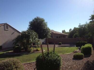 LARGE GRASS BACKYARD