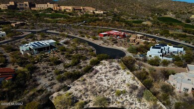dji_fly_20250106_131708_196_173619493855